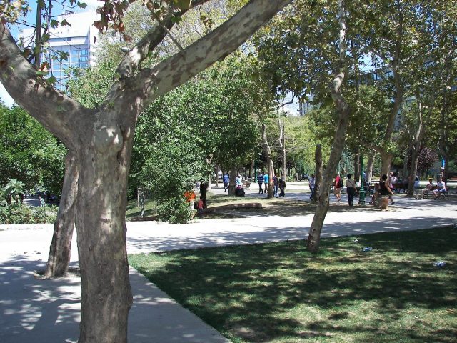 ¿Qué es el parque Gezi?