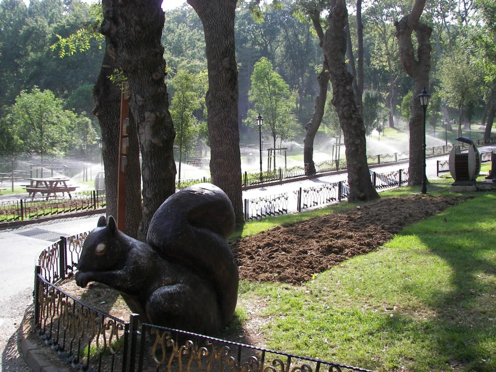 Emirgan ardillas