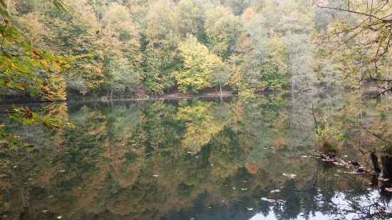 Que ver en el Mar Negro