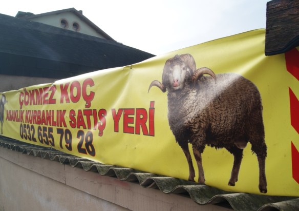 Fiesta del Sacrificio Turquía