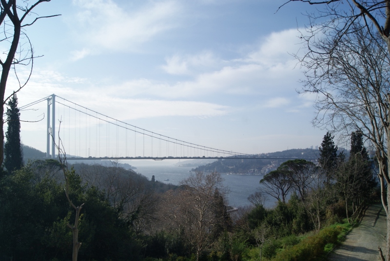 Bosque de Mihrabat en Estambul